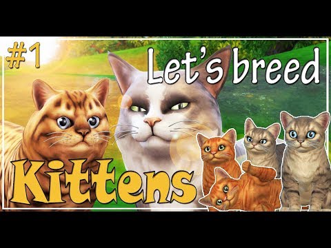 🐱 The Sims 4 Cats and Dogs - Gameplay | Let's play and breed kittens | We are pregnant! | Ep. 1