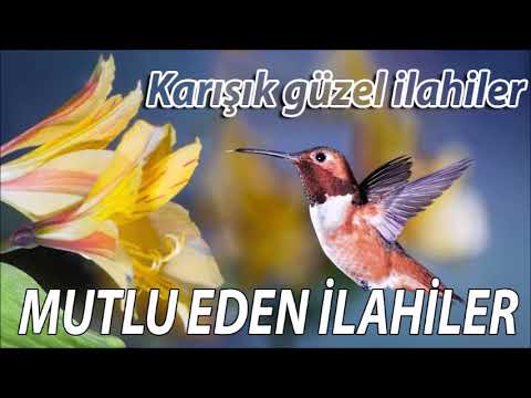 İlahiler Bahçesinden En Güzel İlahiler 💐 Mutlu Eden İlahiler 💐 Karışık Seçkin İlahiler #ilahidinle