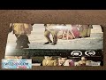 Uicideboy Sing Me A Lullaby My Sweet Temptation 2022 GREEN BLACK SMOKE Review