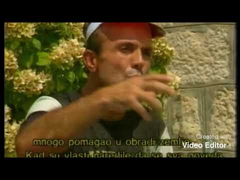 Liqeni Shkodres Aratisja 1984