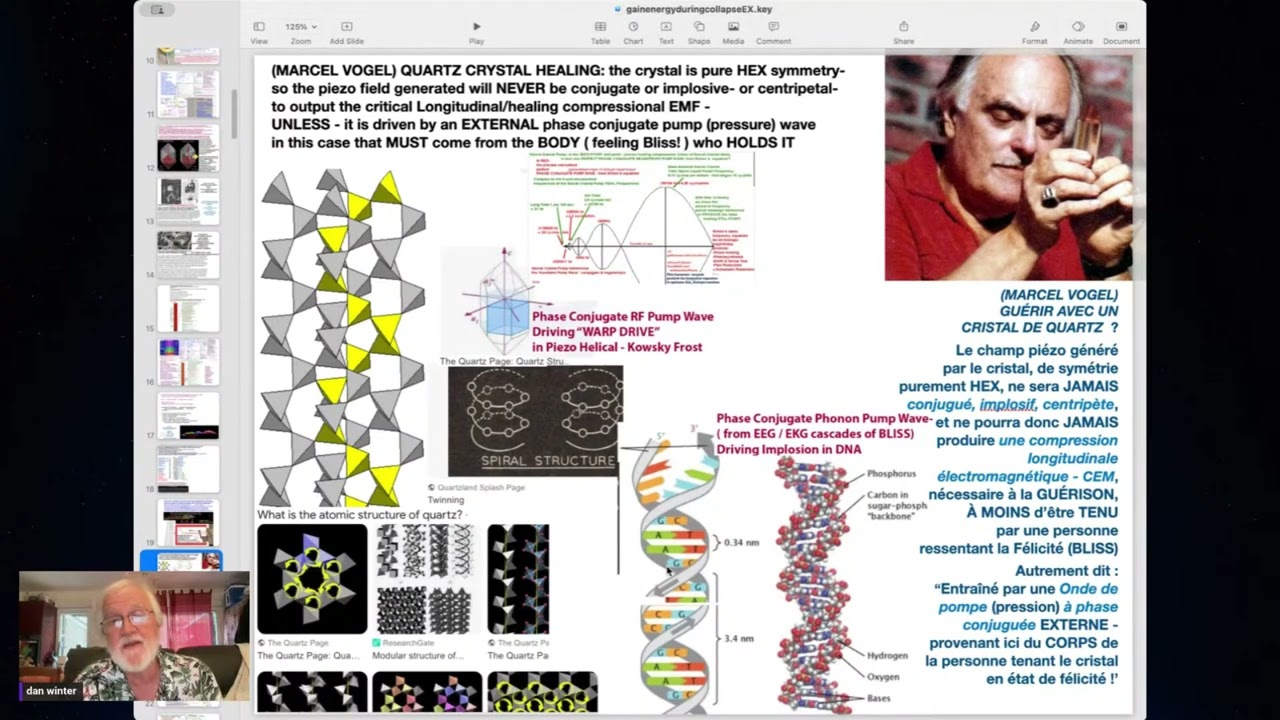 Dan Winter: Mind. Magic an Mystery of Bliss Physics and Enlightenment; Bio Fractal Genius