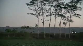 Download lagu Vidio terbaru Agus kotak bolos kerja 'Hidup Tai' !!!! mp3 Download lagu Vidio terbaru Agus kotak bolos kerja 'Hidup Tai' !!!! mp3