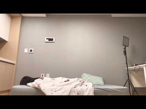 íŠ¸ìœ„ì¹˜ ì •ì§€ ê¸°ë… ë¸Œì´ë¡œê·¸ - YouTube