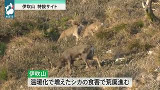 3月10日 【びわ湖放送ニュース】