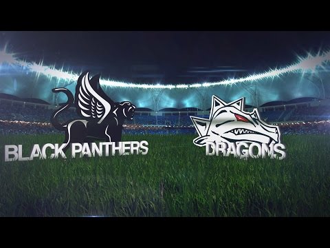 Spielbericht Prague Black Panthers - Danube Dragons (AFL, 2014)