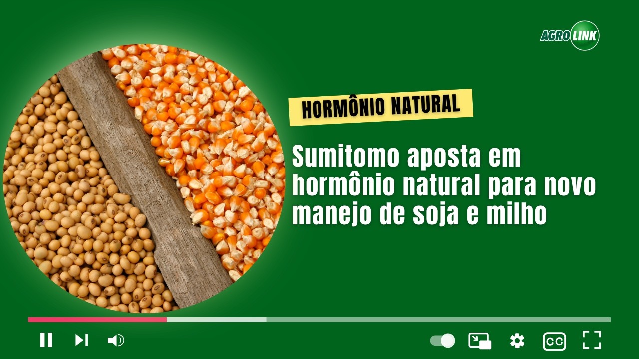 Sumitomo aposta em hormônio natural para novo manejo de soja e milho