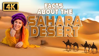 INTERESTING FACTS ABOUT THE SAHARA DESERT[4k]