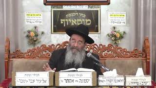 הרב אליהו רביע  •  פרשת משפטים (בית הכנסת מוסאיוף) - התמונה מוצגת ישירות מתוך אתר האינטרנט יוטיוב. זכויות היוצרים בתמונה שייכות ליוצרה. קישור קרדיט למקור התוכן נמצא בתוך דף הסרטון