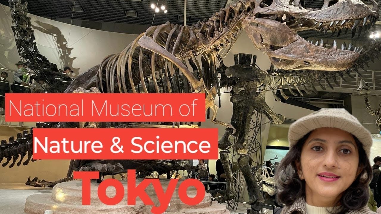 Embark on a captivating video tour of the Tokyo National Museum.
