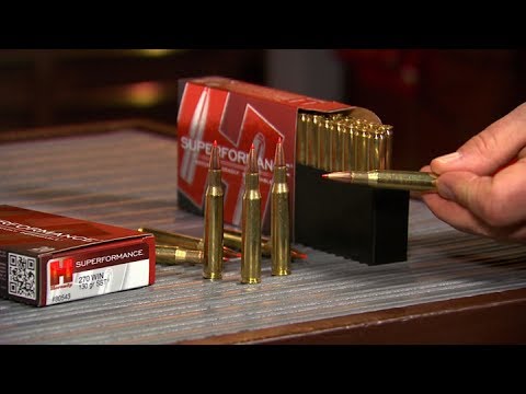 #SundayGunday: Hornady CX Bullets