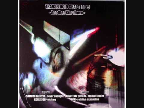 Wante (TeknicalPunch) -Brain Disorder- (Transelucid 05)