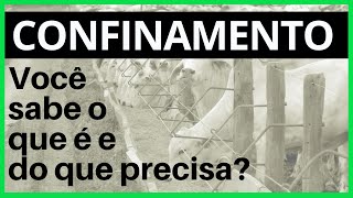 Confinamento de bois — tudo o que você precisa saber