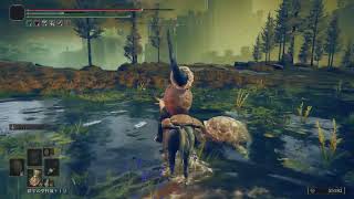 ELDEN RING:DLC#8