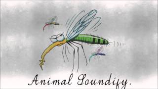 Major Look - No Hope City