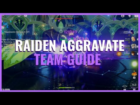 Raiden Aggravate Team Guide in 3 Minutes | Build, Rotations & Candidates