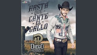 Música Romántica Music Video