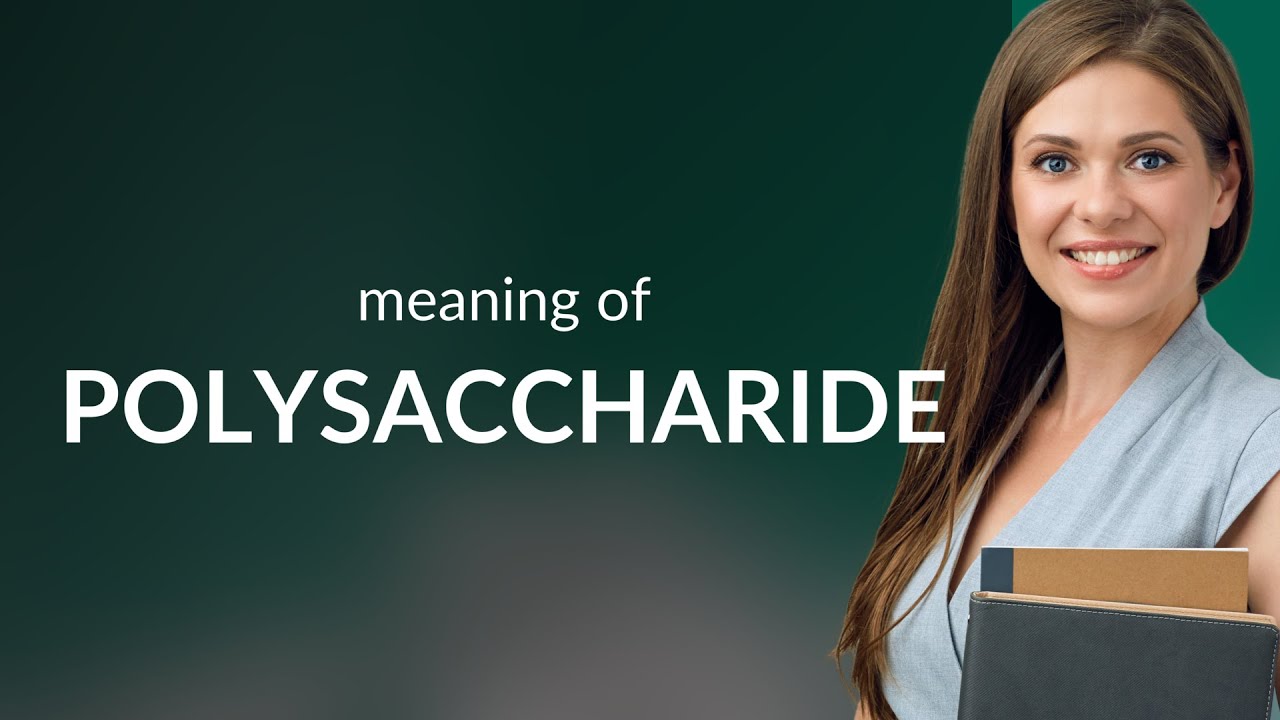 Polysaccharide | what is POLYSACCHARIDE definition