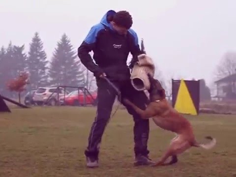 Adeel Blue Penny - protection