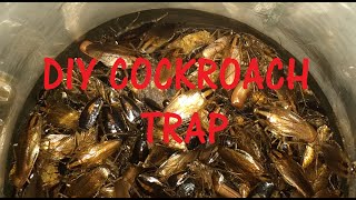 DIY Cockroach Trap with proof!