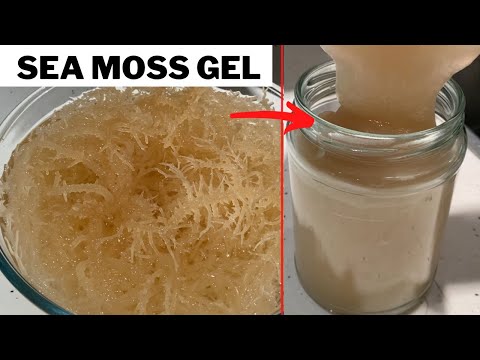 How To Make Sea Moss Gel