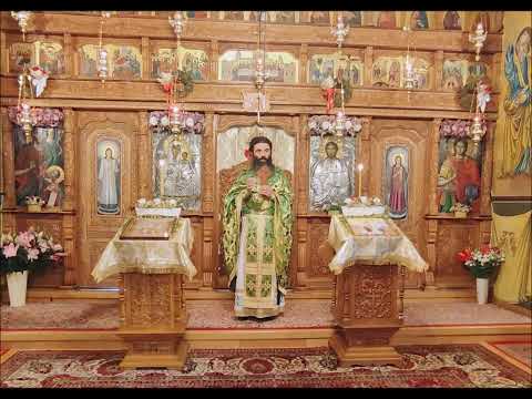 20220417 NICOLAE BALASOIU – INTRAREA DOMNULUI IN IERUSALIM   DUMINICA 6 DIN POST – A FLORIILOR