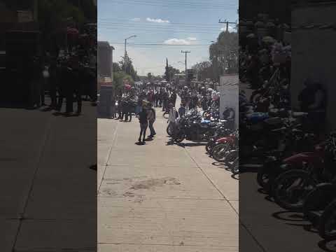 Algo del evento de murcielagos  de estancia  de guadalupe