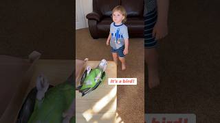 Toddler playing with a parrot - my 2 year old son and baby bird Kody