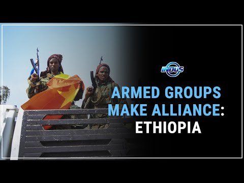 ETHIOPIA: ARMED GROUPS MAKE ALLIANCE | Indus News