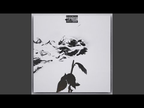 Never Give Up on Love