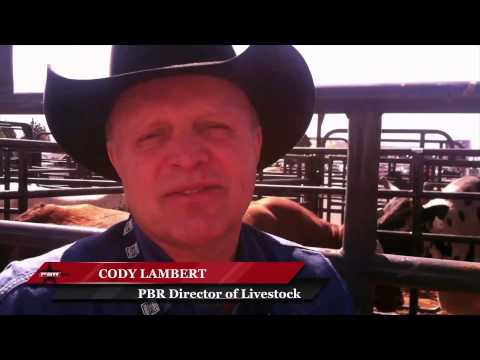 Cody Lambert: 'He's the best bull'