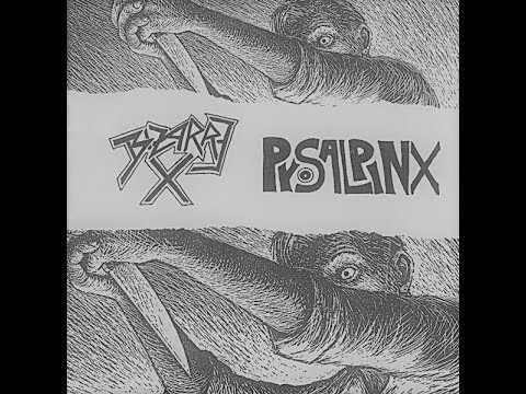 BIZARRE X / PYOSALPINX - Split 7" (1998)