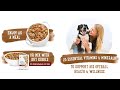 Purina Beneful Gravy Wet Dog Food For Dog Health Care Dog Care
