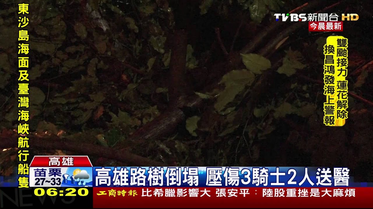 高雄路樹倒塌　壓傷3騎士2人送醫