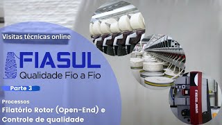 Visita técnica online - FIASUL - PARTE 3  (FINAL)