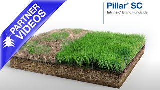 Pillar g fungicide label