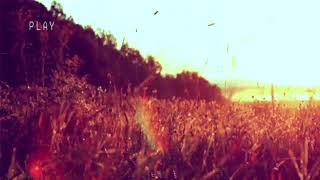 The Inchtabokatables - In The Fields