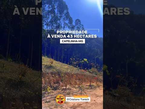 EXCELENTE PROPRIEDADE 43 HECTARES CAPELINHA-MG R$ 2.580.000,00 #gado #fazenda #mercadoagricola #agro
