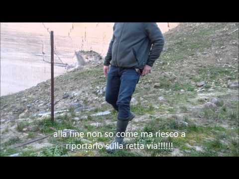 Gerry riporto con selvaggina