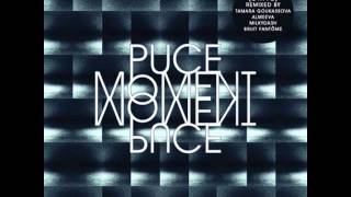 Puce Moment - (drive) Tamara Goukassova RMX