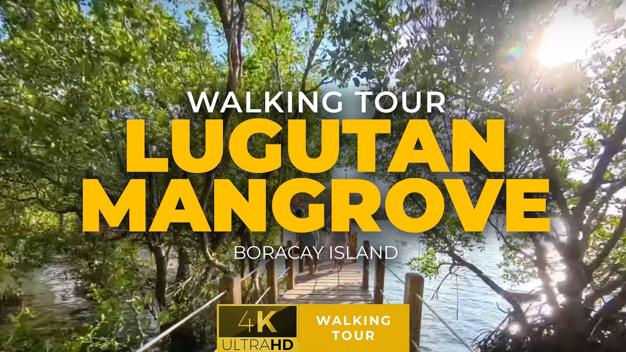 Embark on a captivating walking tour through Lugutan Mangrove Park.