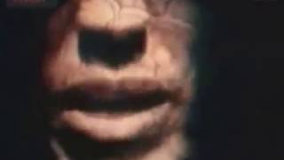 SENSER - AGE OF PANIC with ORIGINAL AUDIO