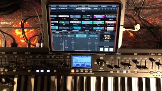 Video thumbnail for Behringer DeepMind 12 - Let’s Explore The Amazing Effects Engine with the App Editor by The Sound Test Room