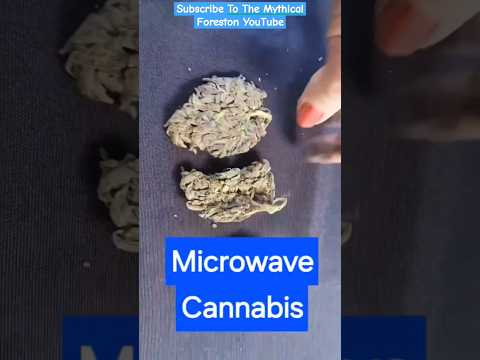 Curing Cannabis in The Microwave on 420