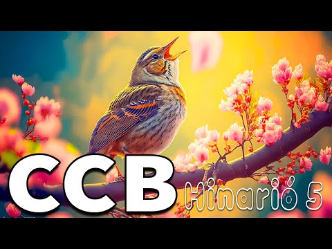 Hinos CCB 2023 - Hinos De Louvores E Súplicas A Deus  - A Melodia Do Hino Ccb Acalma A Alma