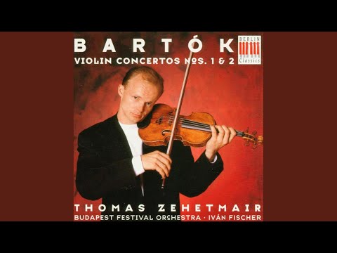 Violin Concerto No. 2, BB 117: I. Allegro non troppo