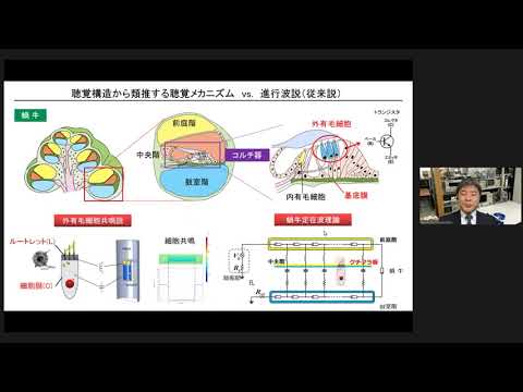 政策学科 関西大学 総合情報学部　堀井康史 教授　『波の理論で考える聴覚のメカニズム』