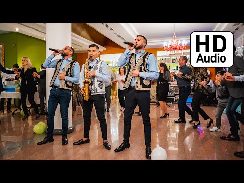 Fratii Damian - Foaie verde grau marunt || La multi ani cu drag va spun || ✆ +40754672582