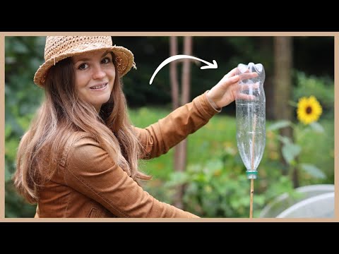 7 ingenious garden hacks that really work