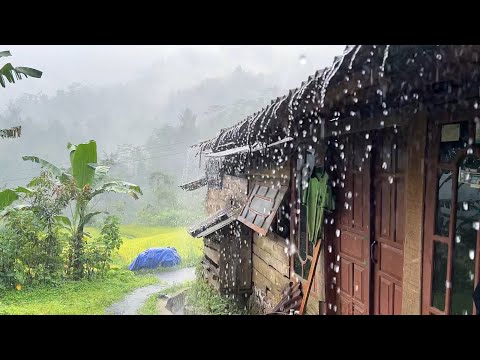 Heavy rain in rural Indonesia||beautiful rural atmosphere||ASMR raining