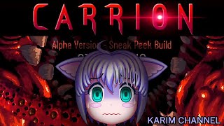 2020年激ヤバ逆ホラーゲーム！【CARRION】【観覧注意】【CERO:Z】【R18】【PC GAME】【Alpha Version】【STEAM】【Rirīsu:2020】